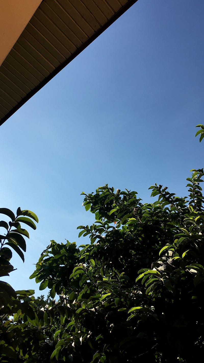 View from the balcony